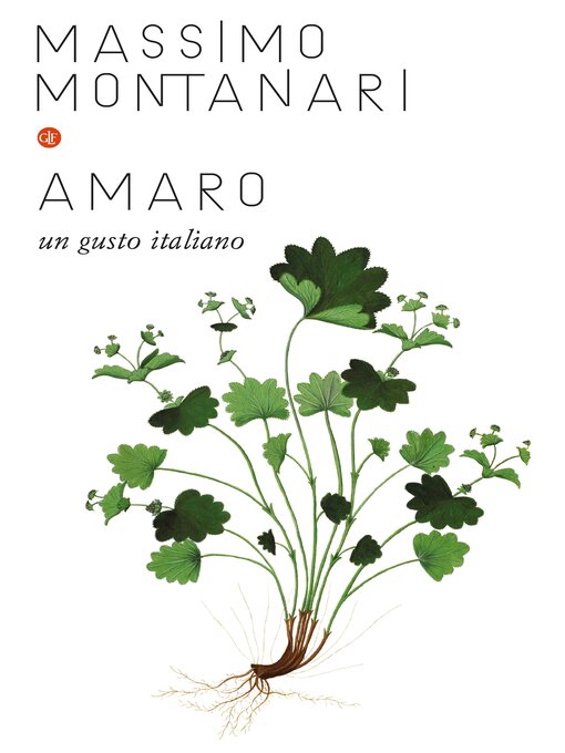 Cover image for Amaro